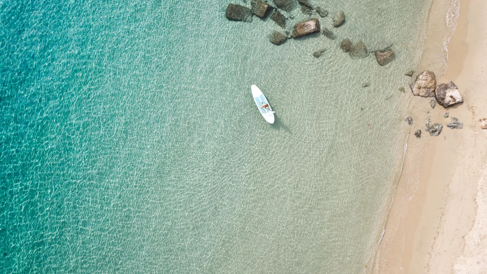 paddle