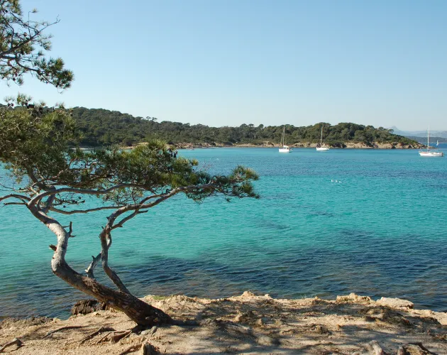 Location mobil-home Presqu'Ile de Giens
